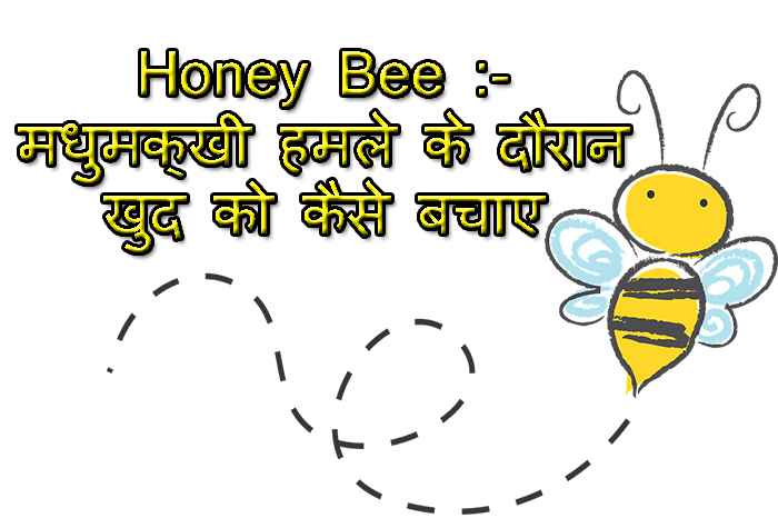 Honey Bee Information - मधुमक्खी हमले के दौरान खुद को कैसे बचाए